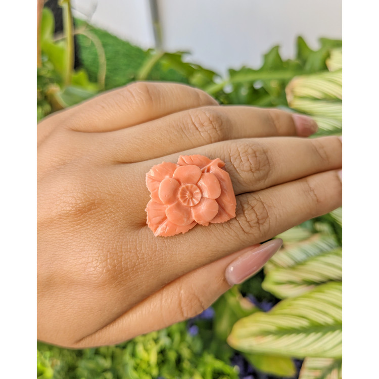 19.99 Ct. Coral from Australia