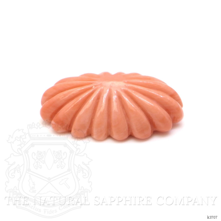 6.98 Ct. Coral from Australia