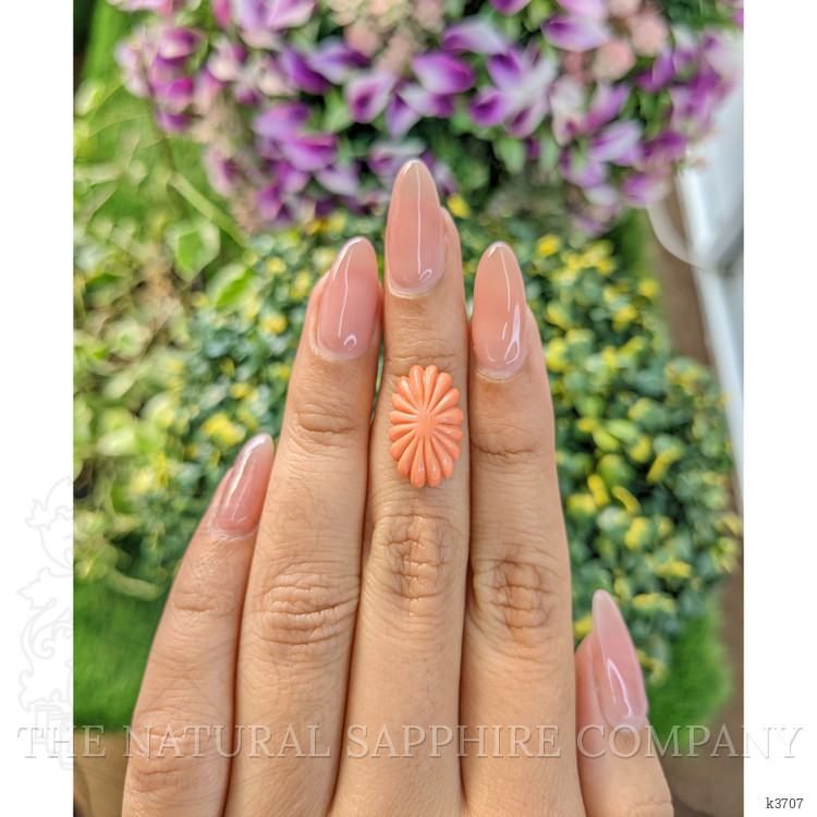 6.98 Ct. Coral from Australia