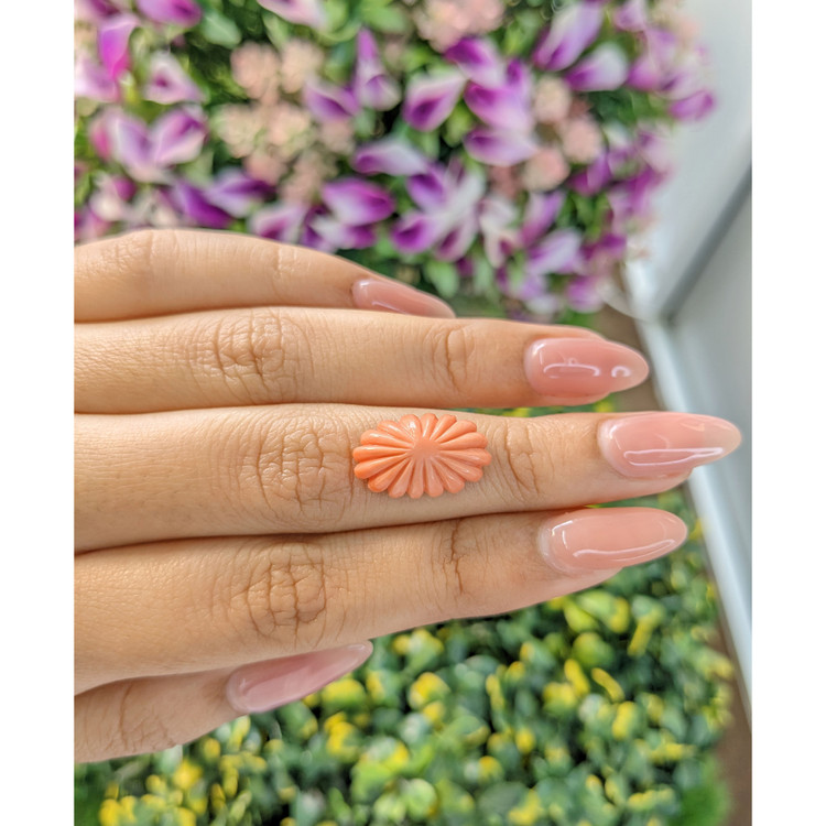 6.98 Ct. Coral from Australia