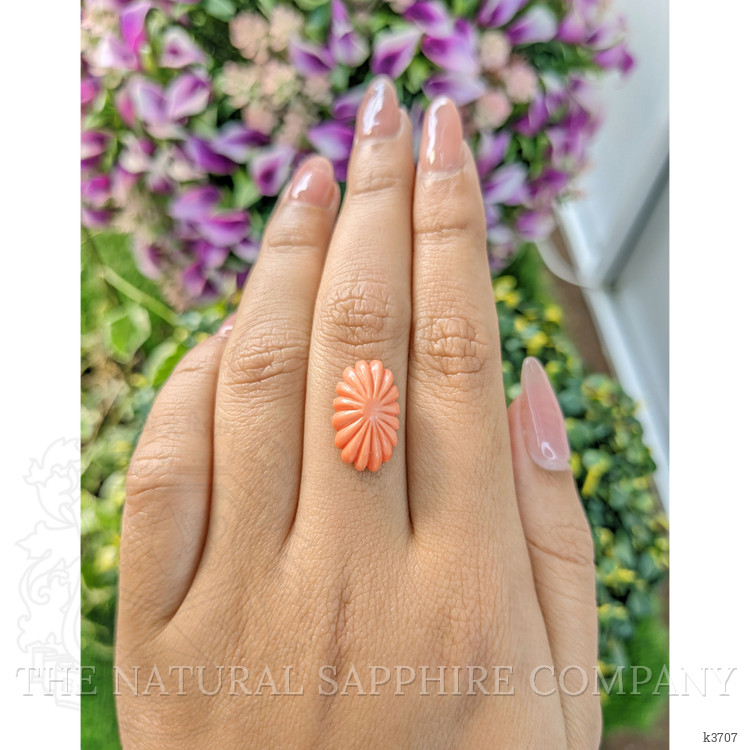 6.98 Ct. Coral from Australia