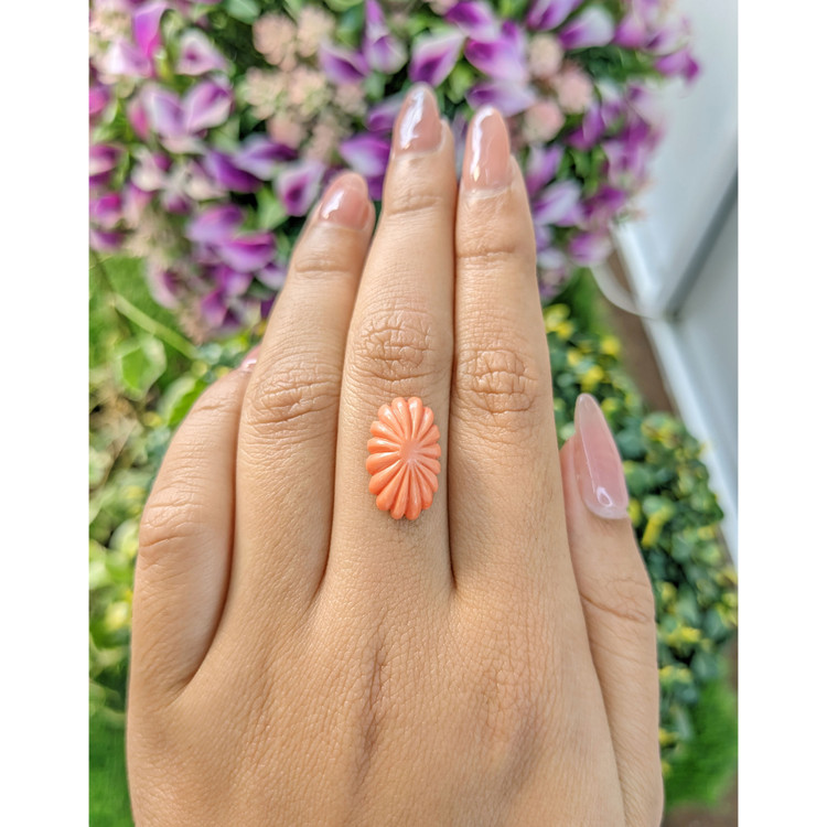6.98 Ct. Coral from Australia