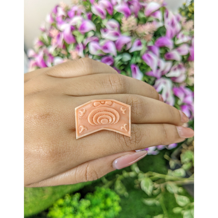 15.55 Ct. Coral from Australia