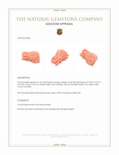 21.66 Ct. Coral from Australia Appraisal