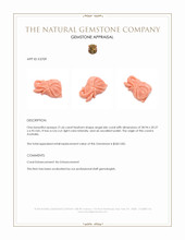 21.66 Ct. Angel Skin (Peach) Coral from Australia Appraisal