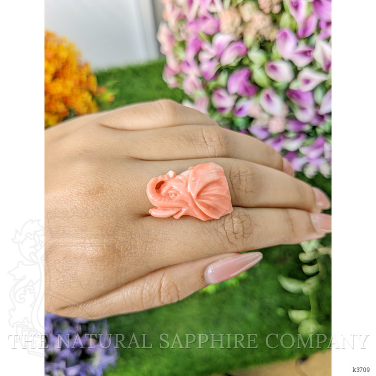 21.66 Ct. Coral from Australia