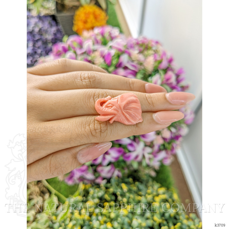 21.66 Ct. Coral from Australia