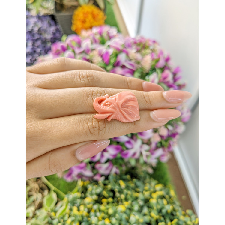 21.66 Ct. Coral from Australia