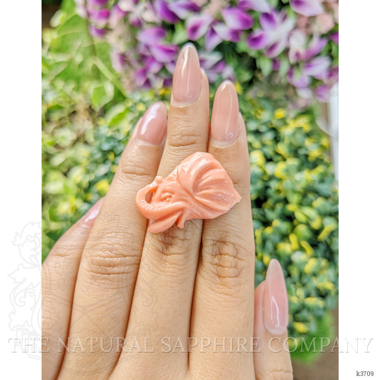 21.66 Ct. Coral from Australia