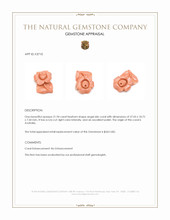 21.94 Ct. Angel Skin (Peach) Coral from Australia Appraisal