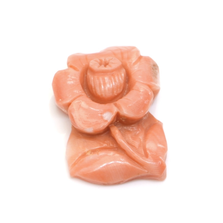 21.94 Ct. Coral from Australia