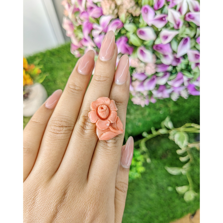 21.94 Ct. Coral from Australia