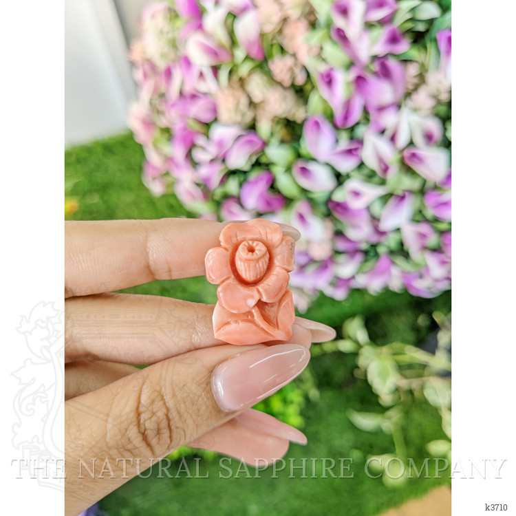 21.94 Ct. Coral from Australia