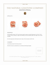 19.09 Ct. Coral from Australia Appraisal