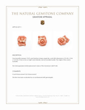 19.09 Ct. Angel Skin (Peach) Coral from Australia Appraisal