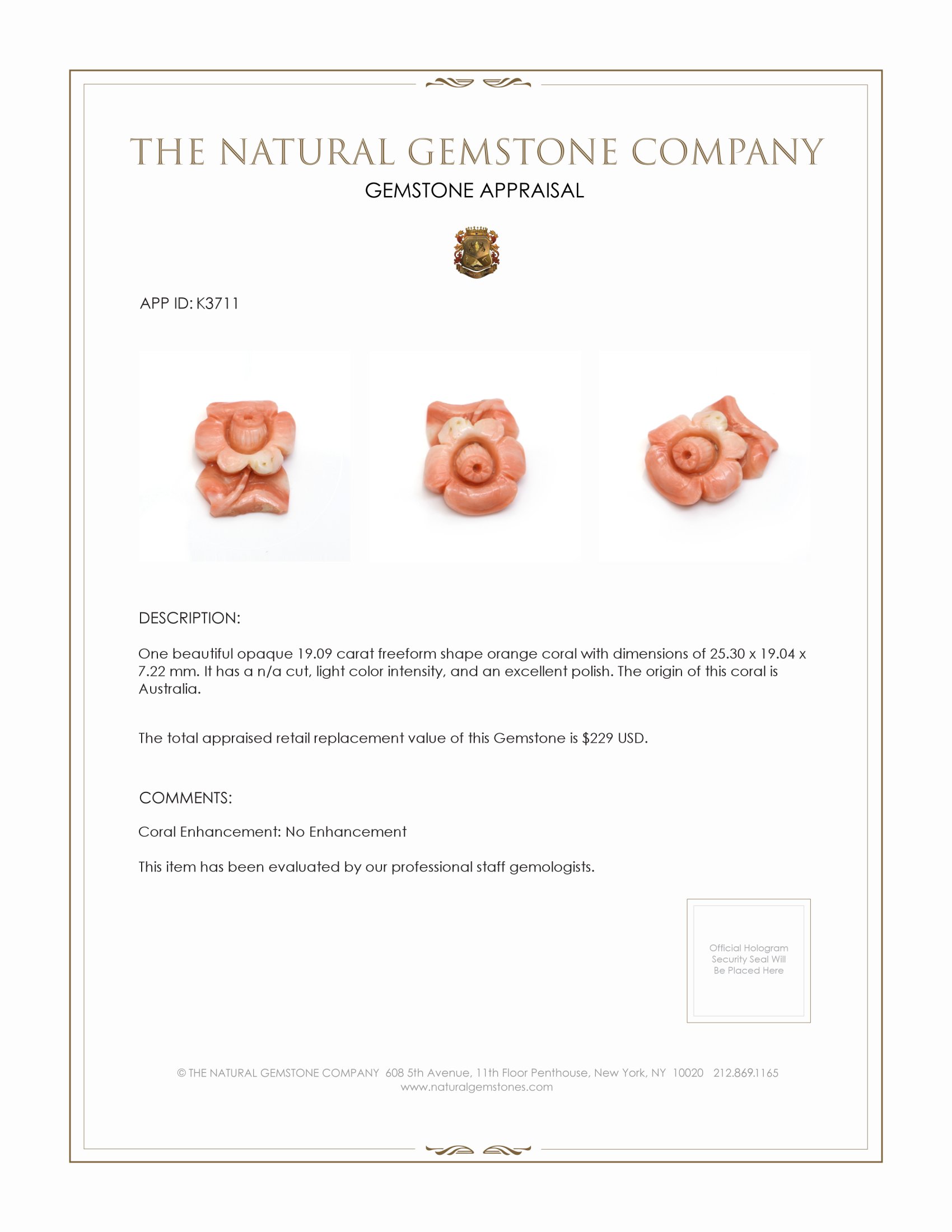 19.09 Ct. Coral from Australia