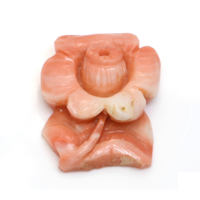 19.09 Ct. Coral from Australia Video