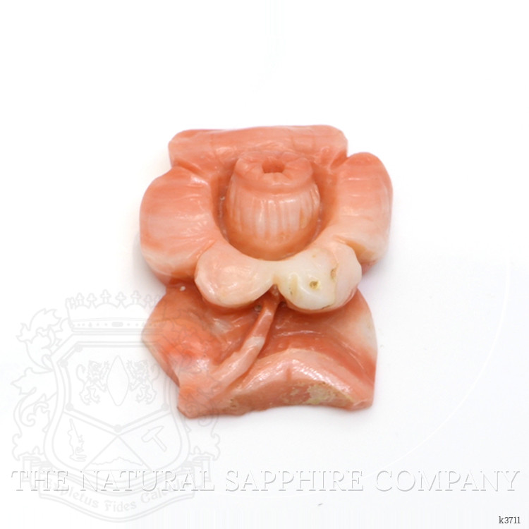 19.09 Ct. Coral from Australia