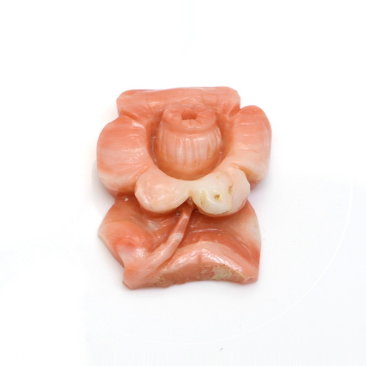 19.09 Ct. Coral from Australia