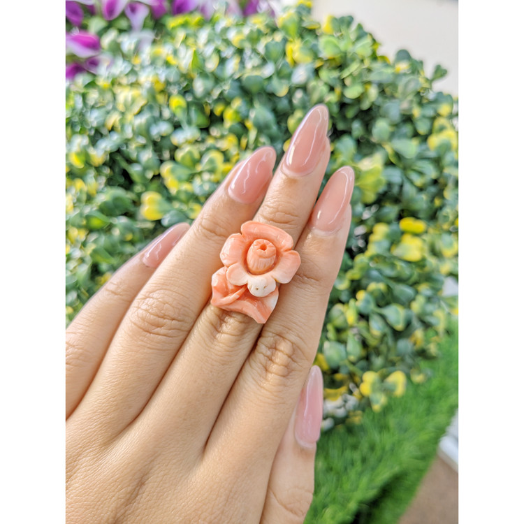 19.09 Ct. Coral from Australia