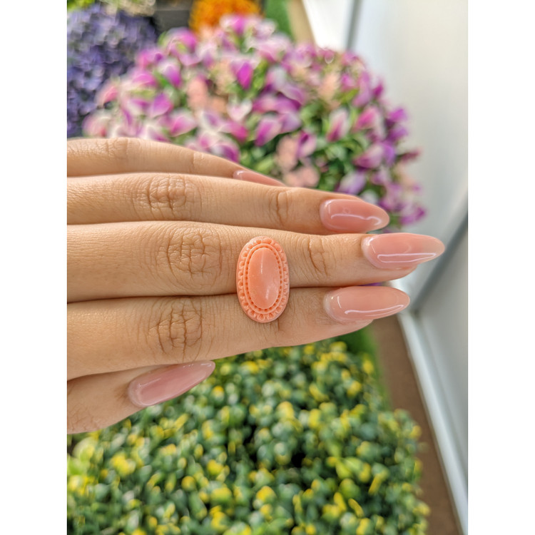 7.83 Ct. Coral from Australia