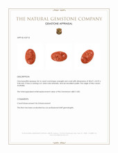 54.16 Ct. Coral from Australia Appraisal