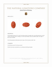 54.16 Ct. Salmon (Orangish Red) Coral from Australia Appraisal