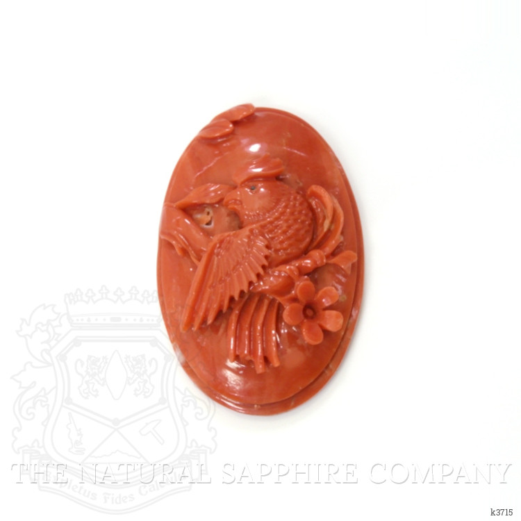 54.16 Ct. Coral from Australia