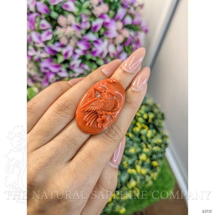 54.16 Ct. Coral from Australia