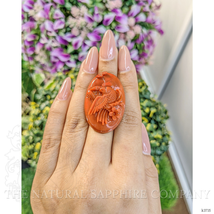 54.16 Ct. Coral from Australia