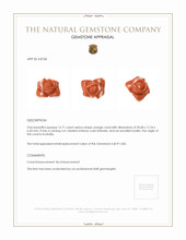 12.71 Ct. Coral from Australia Appraisal