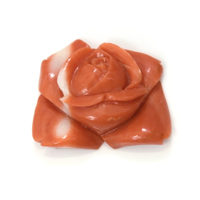 12.71 Ct. Coral from Australia Video