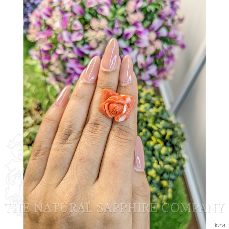 12.71 Ct. Coral from Australia