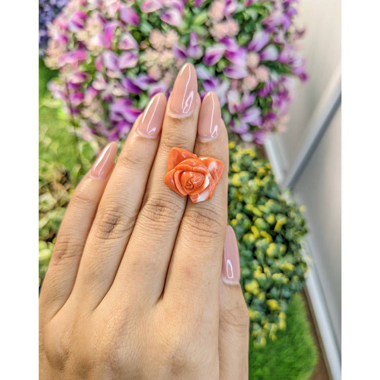 12.71 Ct. Coral from Australia