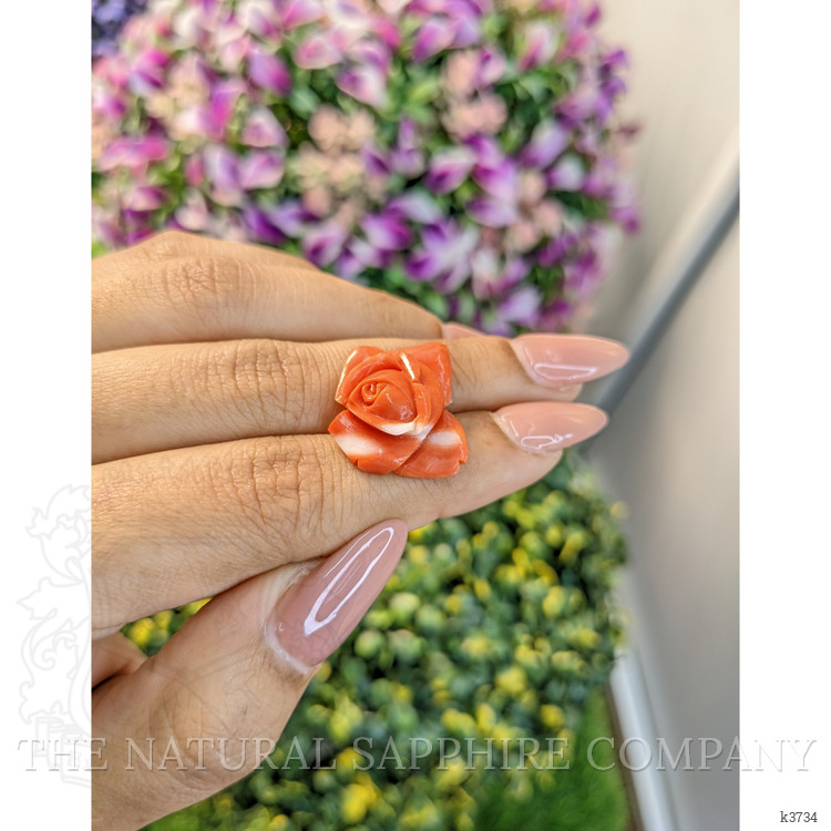 12.71 Ct. Coral from Australia