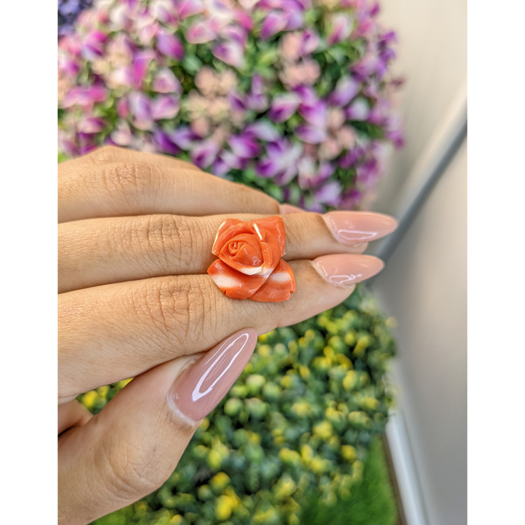 12.71 Ct. Coral from Australia