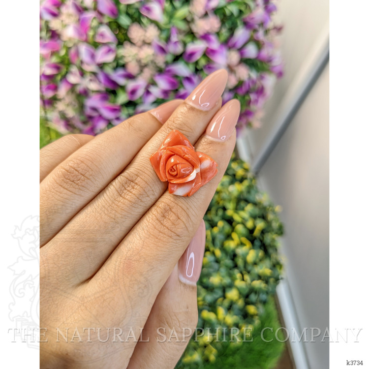 12.71 Ct. Coral from Australia