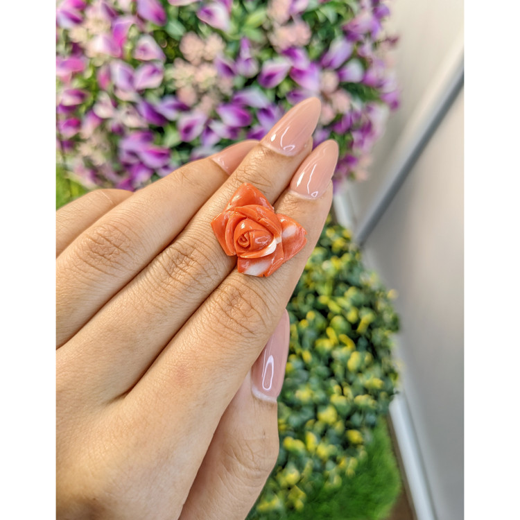 12.71 Ct. Coral from Australia