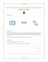 2.76 Ct. Aquamarine from Ceylon (Sri Lanka) Appraisal