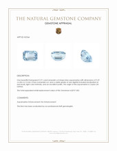 2.91 Ct. Blue Aquamarine from Ceylon (Sri Lanka) Appraisal