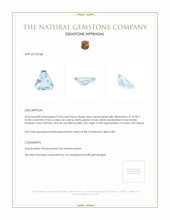 2.55 Ct. Aquamarine from Ceylon (Sri Lanka) Appraisal