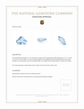 1.62 Ct. Aquamarine from Ceylon (Sri Lanka) Appraisal