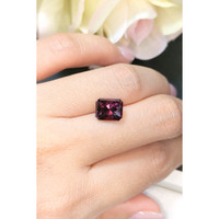 3.73 Ct. Spinel from Ceylon (Sri Lanka) Life Style