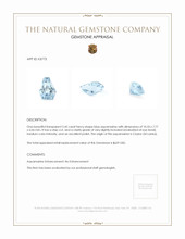 2.42 Ct. Aquamarine from Ceylon (Sri Lanka) Appraisal