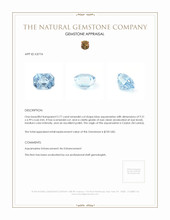 2.77 Ct. Aquamarine from Ceylon (Sri Lanka) Appraisal