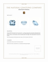 2.90 Ct. Aquamarine from Ceylon (Sri Lanka) Appraisal