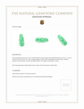 13.26 Ct. Jade from China Appraisal