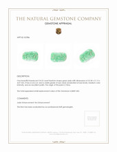 24.55 Ct. Jade from China Appraisal