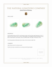 28.70 Ct. Jade from China Appraisal