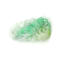 28.70 Ct. Jade from China Video